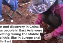 The artifacts found at Longtan, southwest China, were as old as 60,000 years. Qijun Ruan